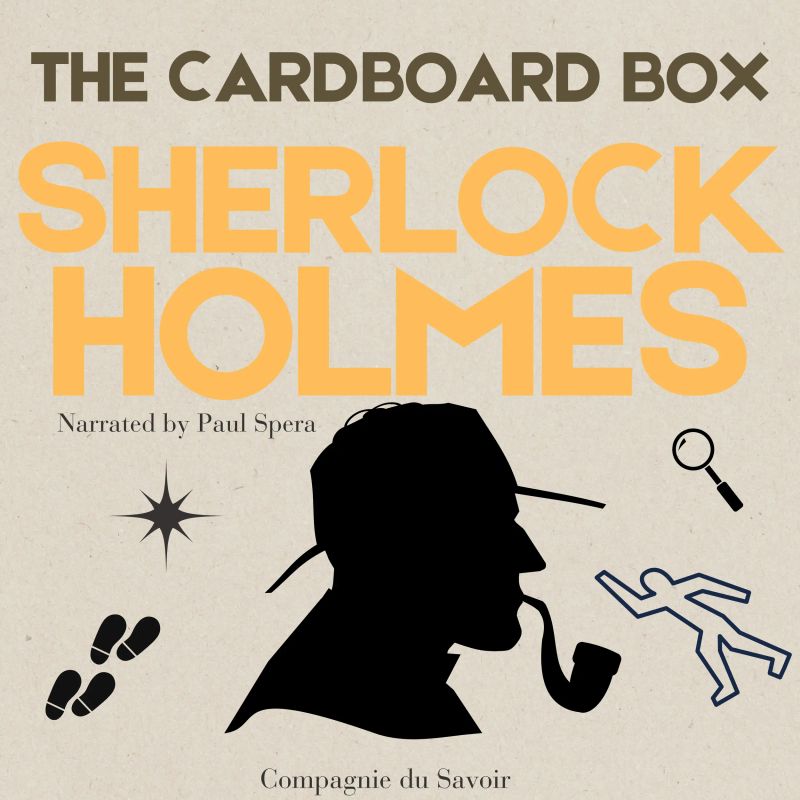 The Cardboard Box