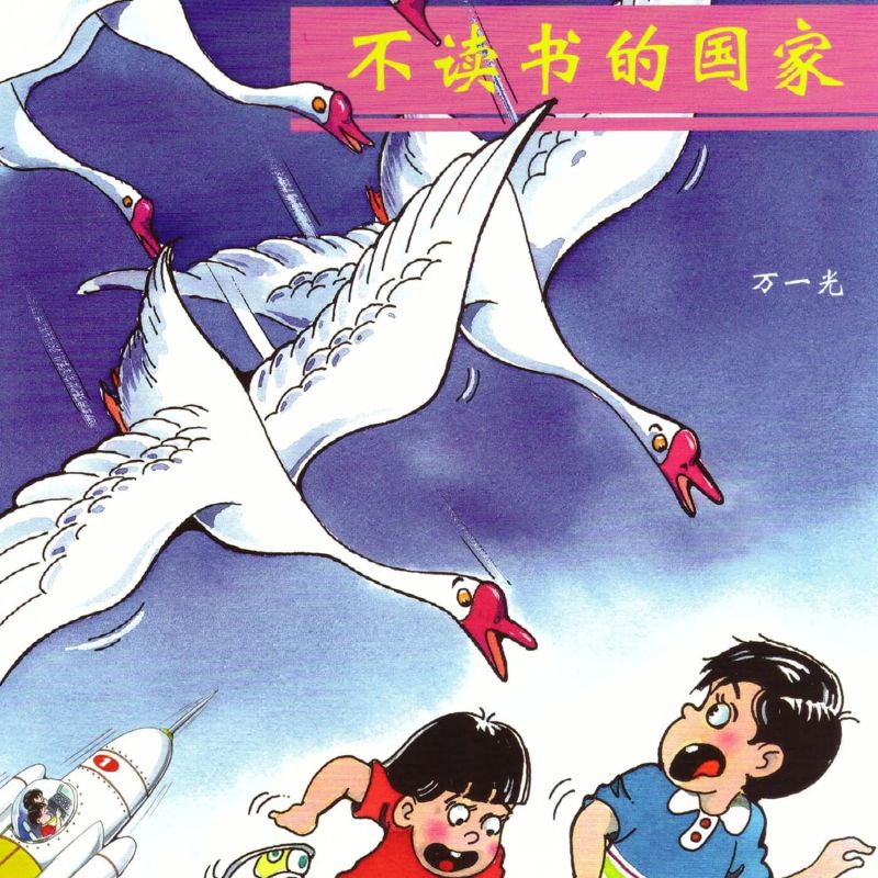 不读书的国家
