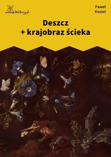 Deszcz + krajobraz ścieka