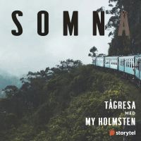 Tågresa