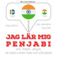 Jag undervisar penjabi