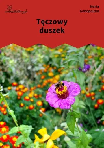 Tęczowy duszek