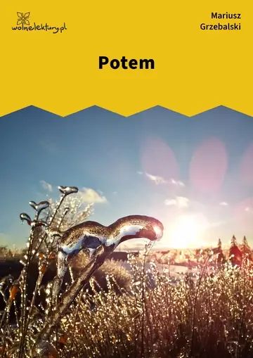 Potem