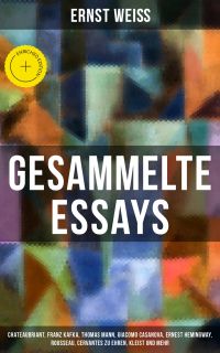 Gesammelte Essays