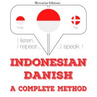 Saya belajar Denmark