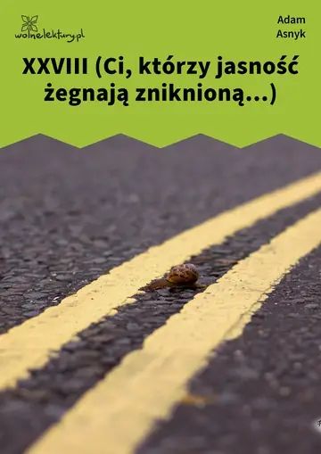 XXVIII (Ci, którzy jasność żegnają zniknioną...)