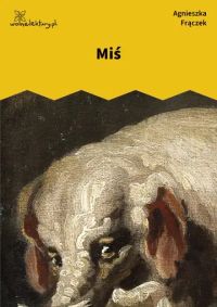 Miś