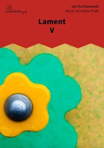 Lament V
