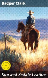 Sun and Saddle Leather