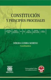 Constitución y principios procesales