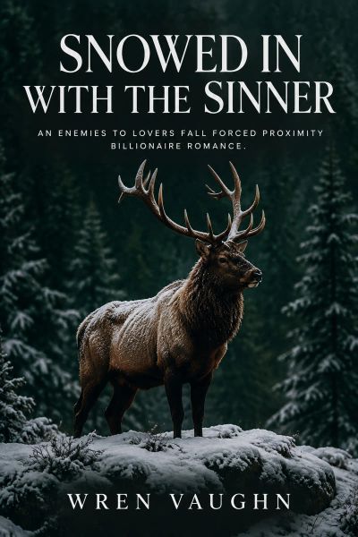 Snowed In with the Sinner