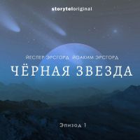 Чёрная звезда. Серия 1. Мост