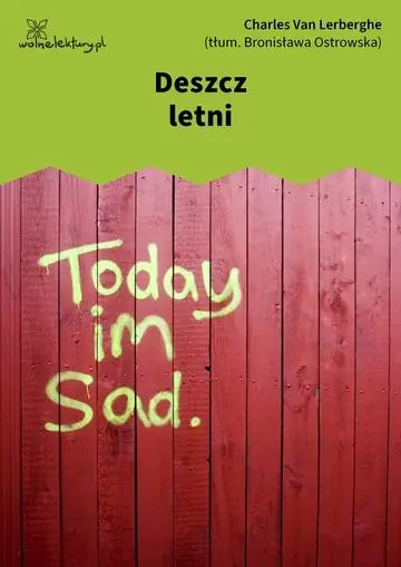 Deszcz letni