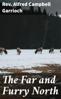 The Far and Furry North