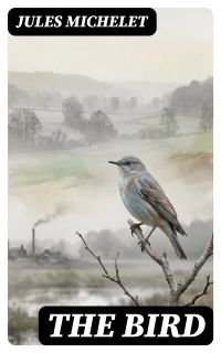 The Bird