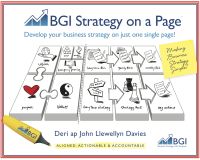 BGI Strategy On A Page