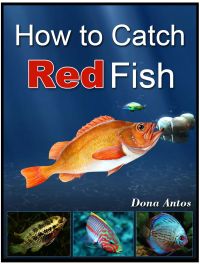 How To Catch Redfish