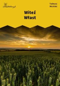 Witeź Włast