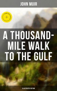 A THOUSAND-MILE WALK TO THE GULF (Illustrated Edition)