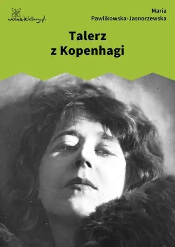 Talerz z Kopenhagi