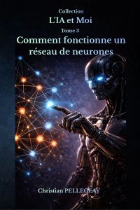 Comment fonctionne un réseau de neurones