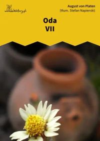 Oda VII