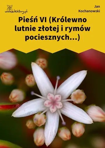 Pieśń VI (Królewno lutnie złotej i rymów pociesznych...)
