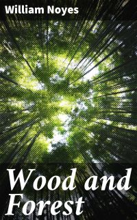 Wood and Forest