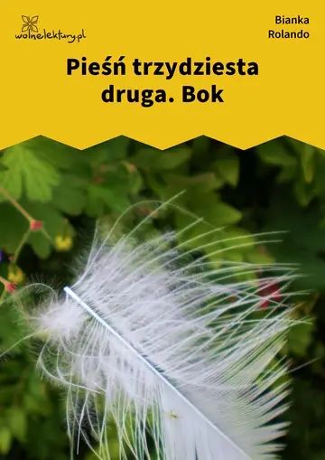 Pieśń trzydziesta druga. Bok