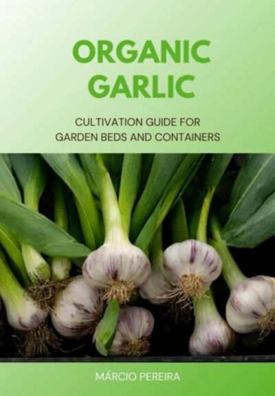 Organic Garlic