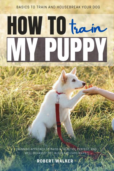 How to Train My Puppy