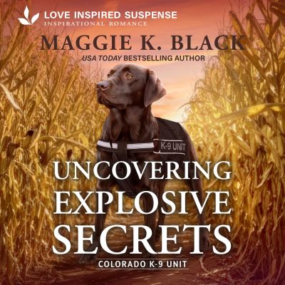 Uncovering Explosive Secrets