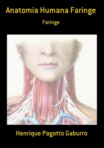 Anatomia Humana Faringe