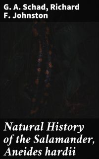 Natural History of the Salamander, Aneides hardii