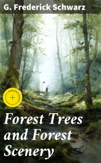 Forest Trees and Forest Scenery