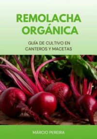 Remolacha Orgánica