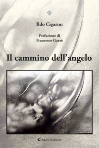 Il cammino dell’angelo