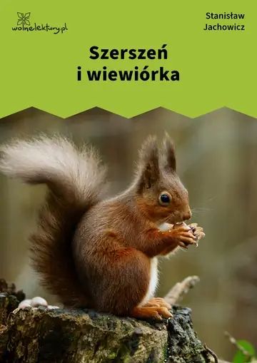Szerszeń i wiewiórka