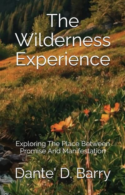 The Wilderness Experience