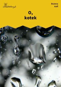 O, kotek