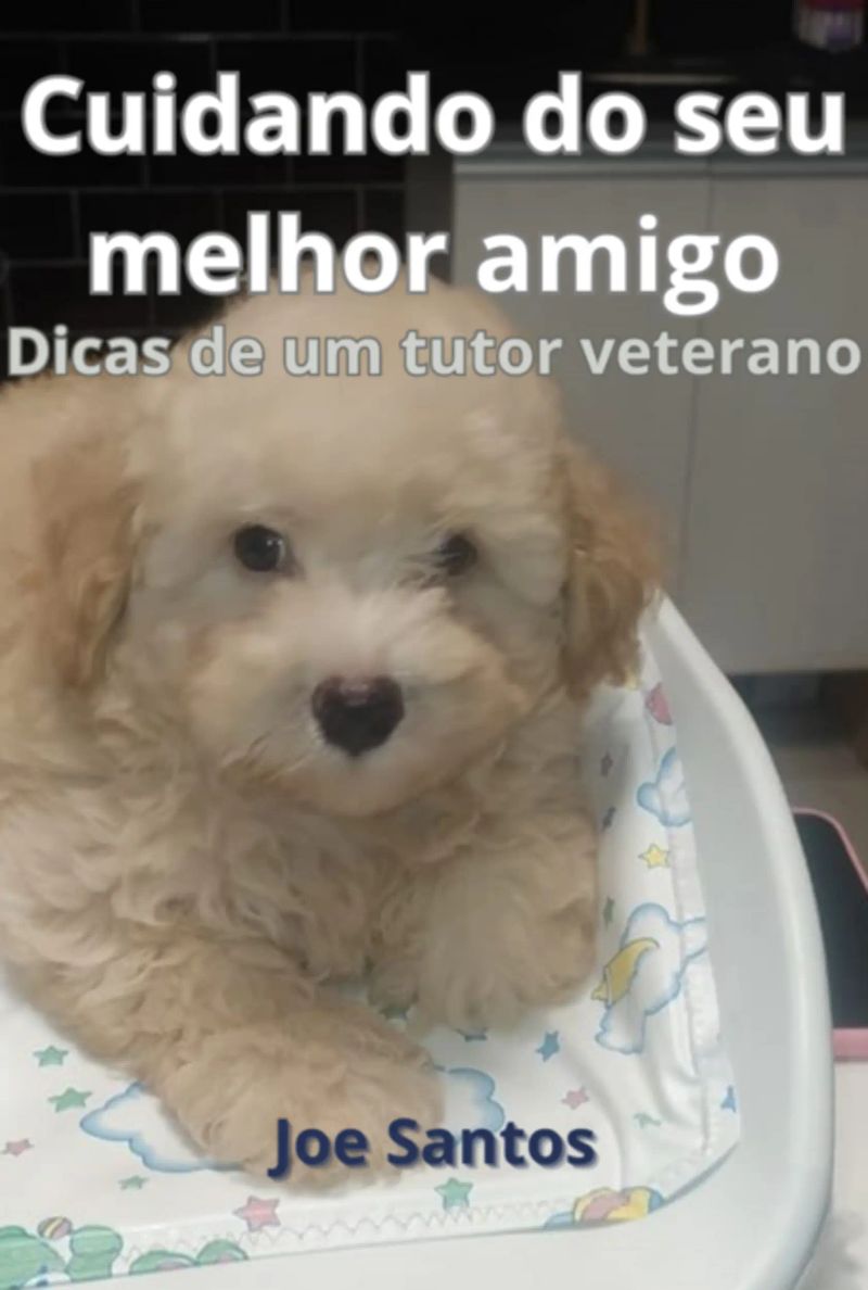 Cuidando Do Seu Melhor Amigo