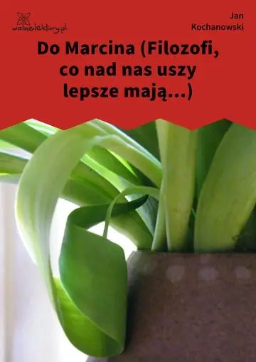 Do Marcina (Filozofi, co nad nas uszy lepsze mają...)
