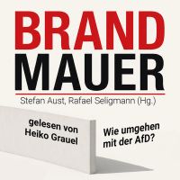 Brandmauer: Wie umgehen mit der AfD?