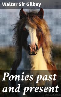 Ponies past and present