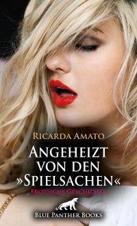 Angeheizt von den »Spielsachen« | Erotische Geschichte
