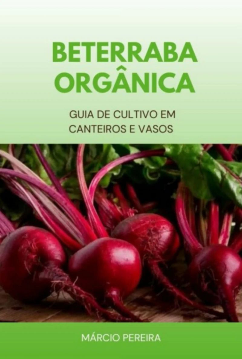 Beterraba Orgânica