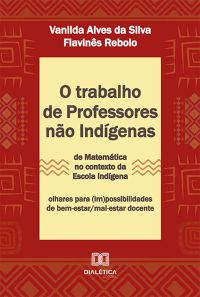O trabalho de professores não indígenas de Matemática no contexto da escola indígena