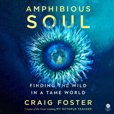 Amphibious Soul