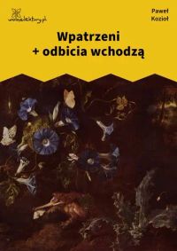 Wpatrzeni + odbicia wchodzą