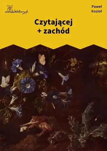 Czytającej + zachód